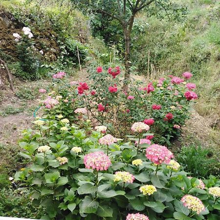 Il Ghiro Bed and Breakfast Levanto Buitenkant foto
