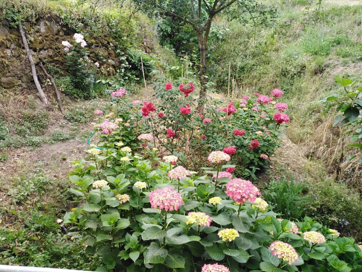 Il Ghiro Bed and Breakfast Levanto Buitenkant foto
